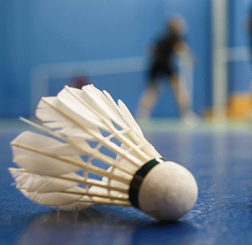 Beispielbild Badmintonabteilung